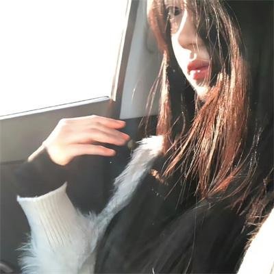 吉娃娃